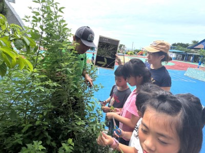  培力在地社區夥伴成為推廣種子教師，傳承植物辨識、標本製作、扦插技術等知識，擴大在地參與及技能培力，引導孩子從植物故事與實作中理解在地生態的珍貴，深化傳承保育理念向下札根。(林業保育署新竹分署黃婉如提